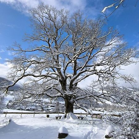 Hotel Garni Oberdorfer Stuben أوبيرميسلشتاين المظهر الخارجي الصورة
